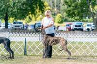 20250830-DSC04375
