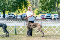 20250830-DSC04376