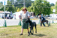 20250830-DSC04380