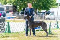 20250830-DSC04392