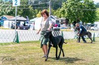 20250830-DSC04385