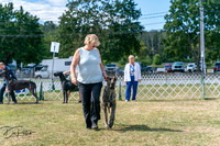 20250830-DSC04399