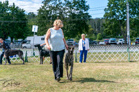 20250830-DSC04400