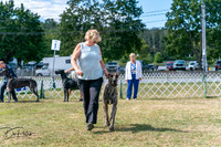 20250830-DSC04401