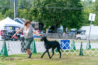 20250830-DSC04426