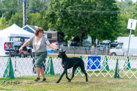 20250830-DSC04427