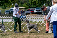 20250830-DSC02679