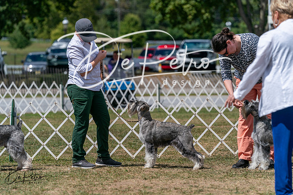 20250830-DSC02678