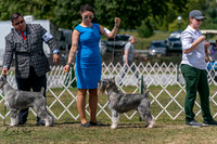 20250830-DSC02683