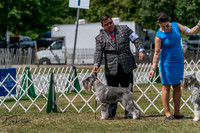 20250830-DSC02689