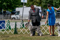 20250830-DSC02688