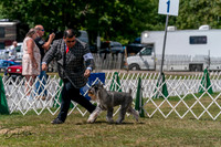 20250830-DSC02695
