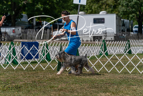 20250830-DSC02704