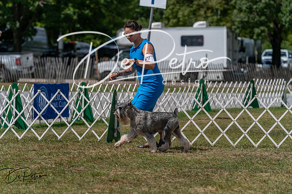 20250830-DSC02703