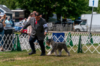 20250830-DSC02699