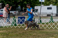 20250830-DSC02708