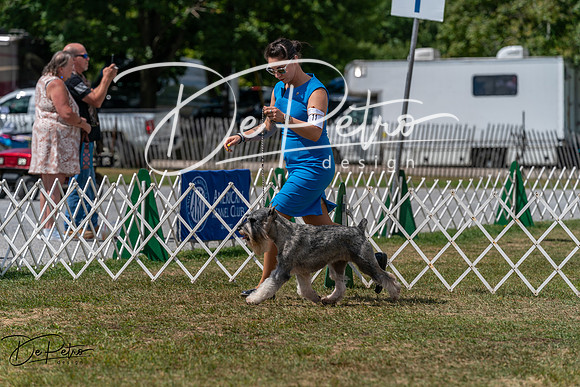20250830-DSC02708