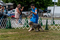 20250830-DSC02712