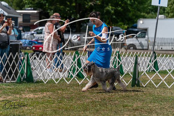 20250830-DSC02712