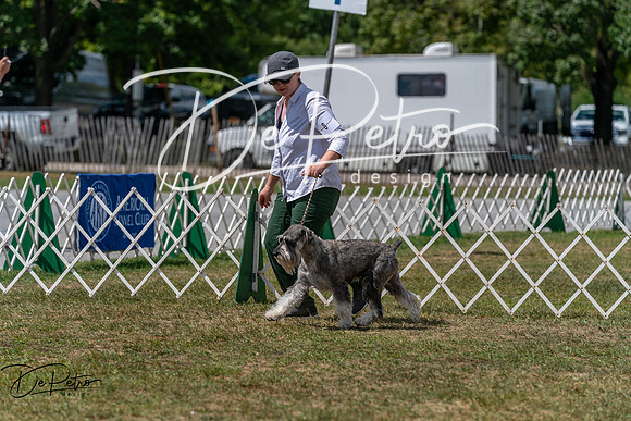 20250830-DSC02716