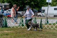 20250830-DSC02724