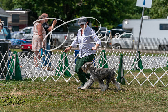 20250830-DSC02724