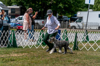 20250830-DSC02725
