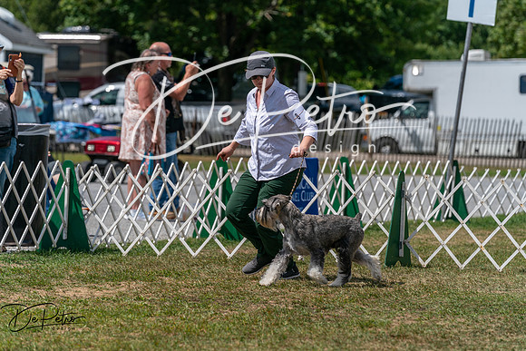 20250830-DSC02725