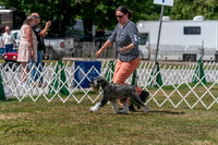 20250830-DSC02729