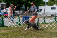 20250830-DSC02730