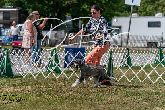 20250830-DSC02730