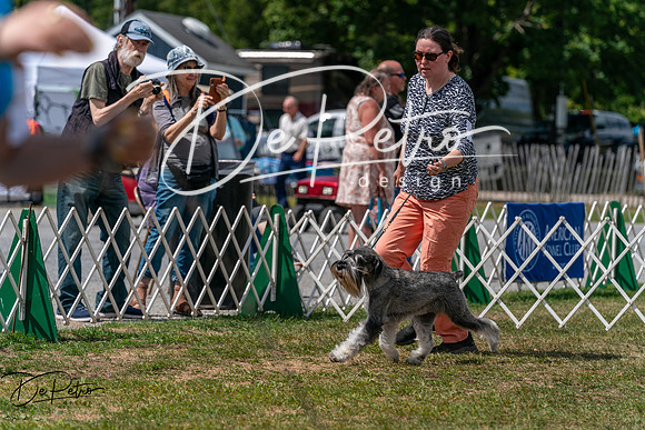 20250830-DSC02738