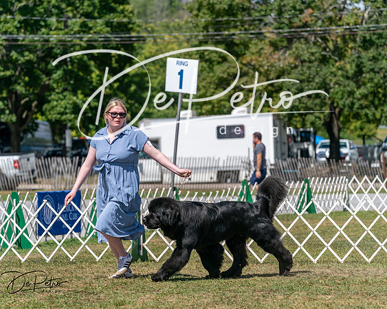 20250830-DSC02306