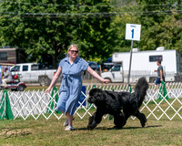 20250830-DSC02309