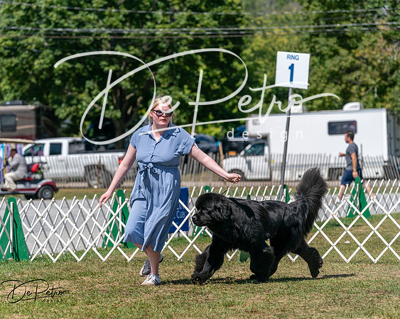 20250830-DSC02309