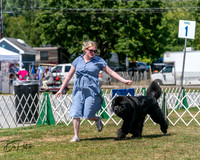 20250830-DSC02312