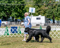 20250830-DSC02320