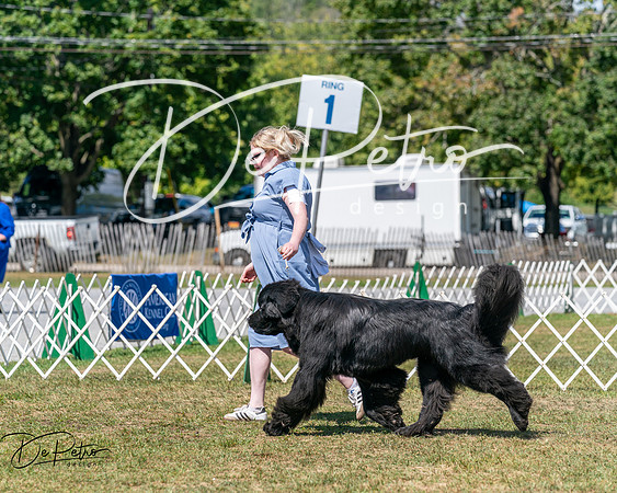 20250830-DSC02320
