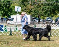 20250830-DSC02317