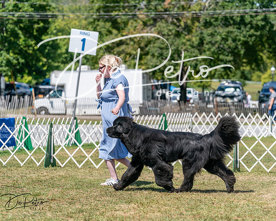 20250830-DSC02317