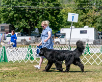 20250830-DSC02323