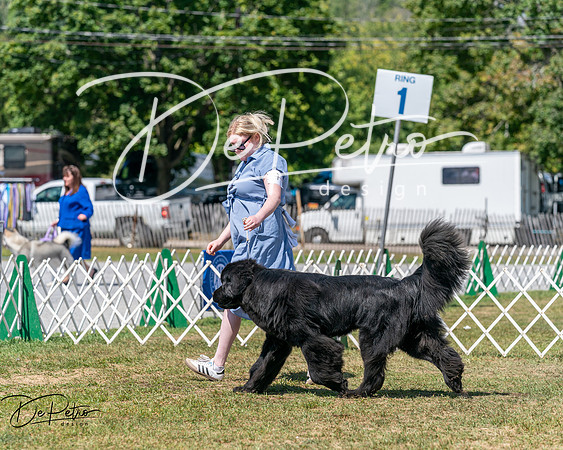 20250830-DSC02323