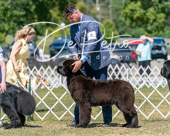 20250830-DSC02328