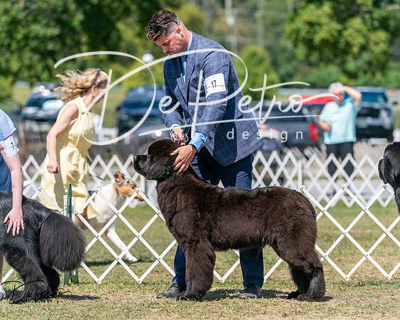 20250830-DSC02330