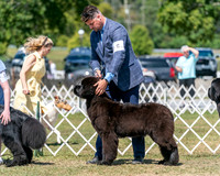 20250830-DSC02329
