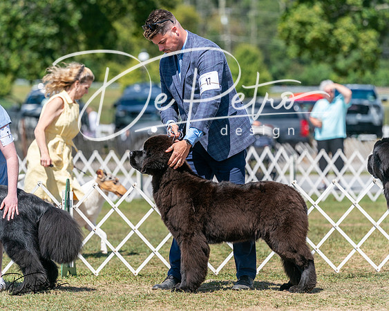 20250830-DSC02329