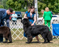 20250830-DSC02324