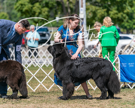 20250830-DSC02324