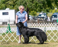 20250830-DSC02333
