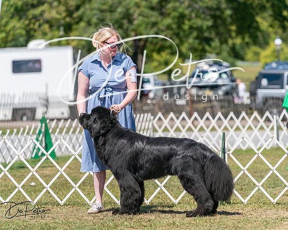 20250830-DSC02333